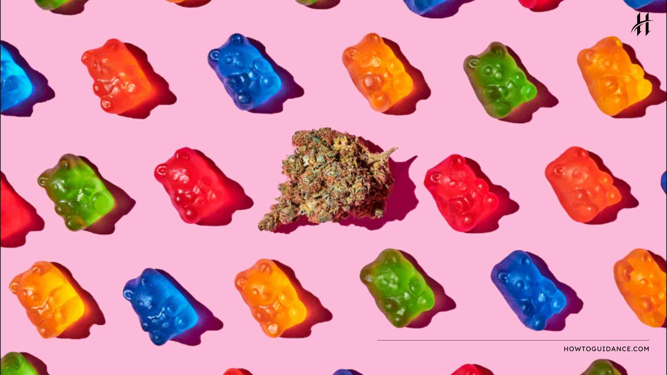 How To Recover From Edibles: Top 10 Things To Do?