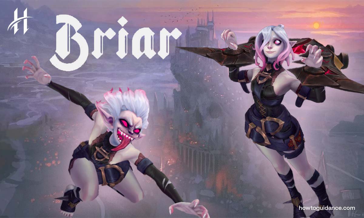 how to play briar